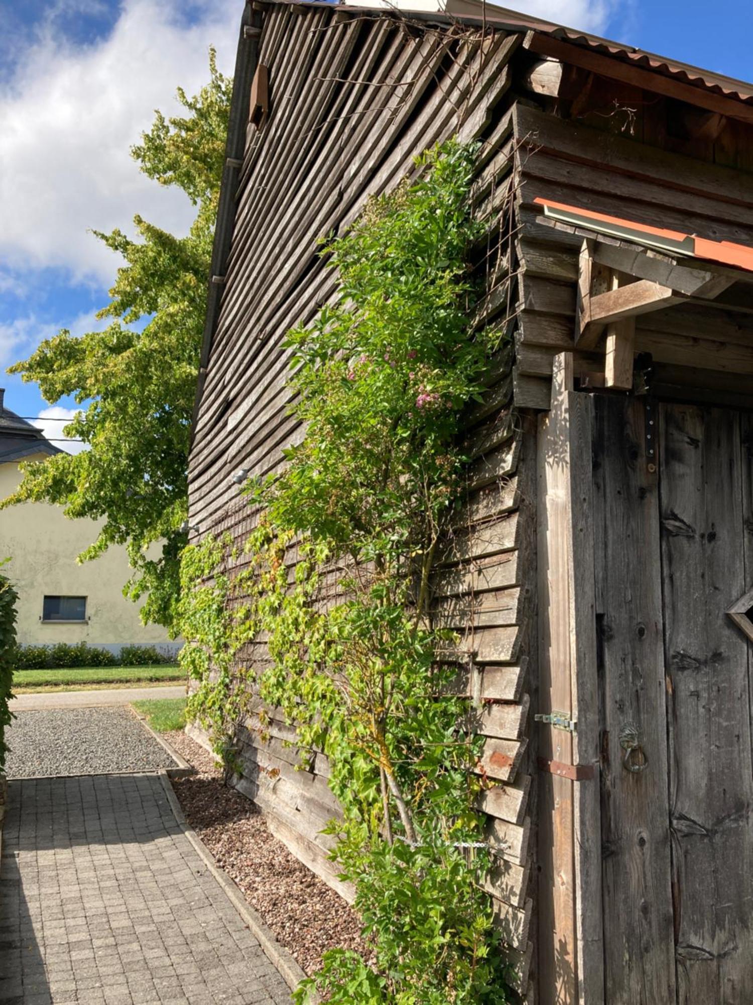 Paulis Ferienhaus Mit Kamin & Sonnenterrasse - Je Zimmer Ein Eigenes Bad - Gratis Sauna - Reinigung & Waesche Inklusive - 1 Hund Ohne Aufpreis - Ideal Zum Wandern, 20 Min Zum See Villa Бюланж Екстериор снимка